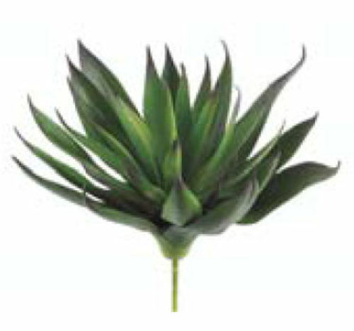 CA0230-GR-PU 7.8 in. Agave Plant with 33 Leaves Green Purple- Case of 