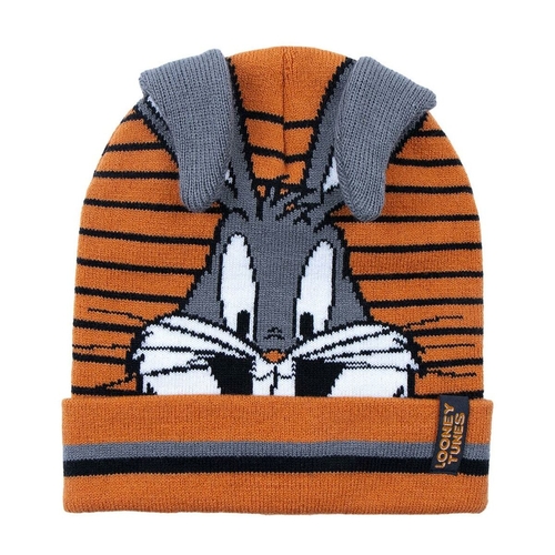 Child Hat Looney Tunes Orange (One size)