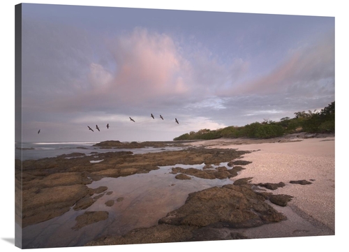 Global Gallery GCS-396360-3040-142 30 x 40 in. Pelicans Over Playa Lan