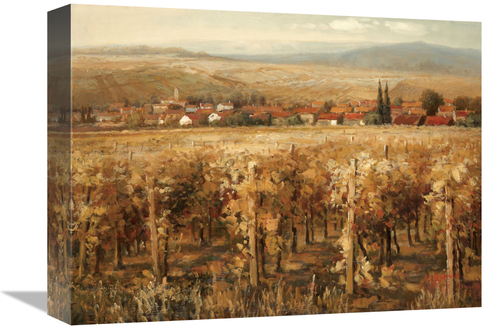 Global Gallery GCS-130709-1216-142 12 x 16 in. Italian Golden VIneyard