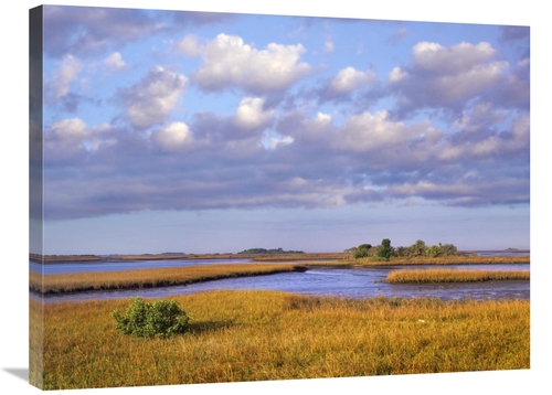 Global Gallery GCS-396103-2432-142 24 x 32 in. Saltwater Marshes at Ce