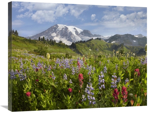 Global Gallery GCS-396888-2432-142 24 x 32 in. Paradise Meadow & Mount
