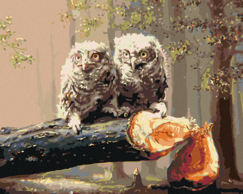Zuty - Paint by Numbers - BABY OWLS IN A FELLED TREE (D. RUSTY RUST),