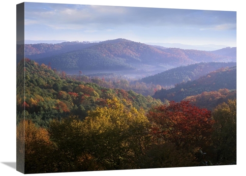 Global Gallery GCS-452273-1824-142 18 x 24 in. Autumn Deciduous Forest