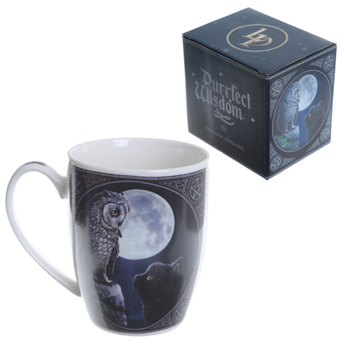 Fantasy Porcelain Mug - Owl and Black Cat