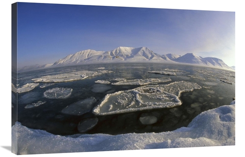 Global Gallery GCS-453539-2436-142 24 x 36 in. Ice Floes & Mountain Ra