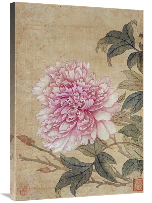 Global Gallery GCS-267287-36-142 36 in. Peony Art Print - Yun Shouping