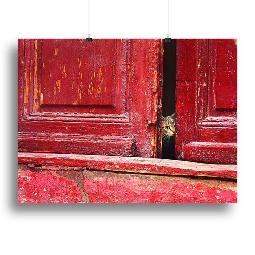 Behind the scene Canvas Print or Poster