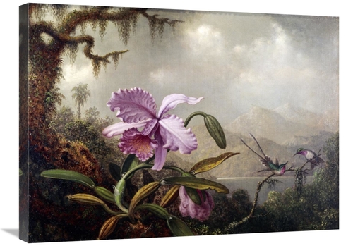 Global Gallery GCS-277940-30-142 30 in. Hummingbirds & Orchids Art Pri