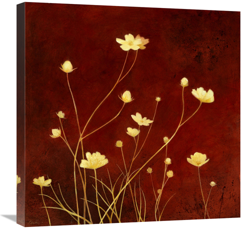 Global Gallery GCS-137415-2424-142 24 x 24 in. Flores En El Campo I Ar