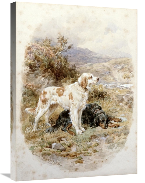 Global Gallery GCS-267771-30-142 30 in. An English & a Gordon Setter A