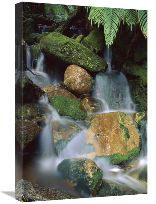 Global Gallery GCS-453504-1624-142 16 x 24 in. Stream Waterfall Near L