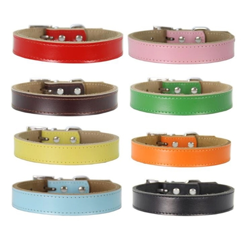 Genuine Leather Dog Collar Simple Design Chihuahua