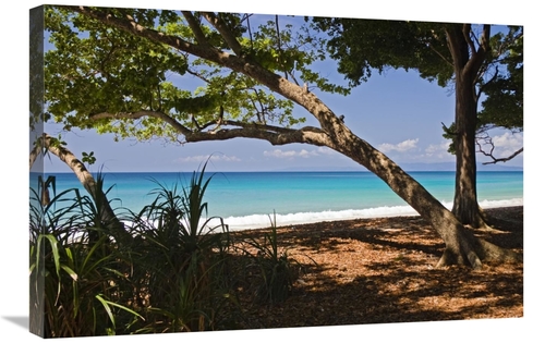 Global Gallery GCS-453638-2030-142 20 x 30 in. Coastal Rainforest,