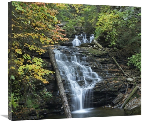 Global Gallery GCS-396427-30-142 30 in. Delaware Falls, Ricketts G