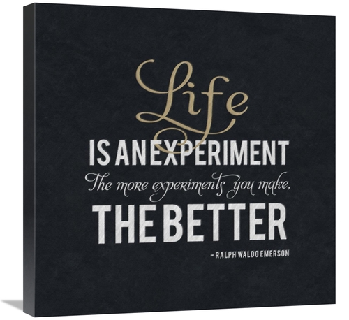 Global Gallery GCS-382229-2424-142 24 x 24 in. Quote - Emerson - Life 