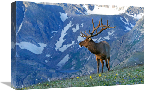 Global Gallery GCS-486635-22-142 22 in. Top of the World Art Print - V