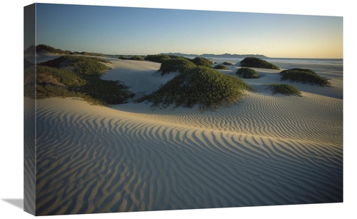 Global Gallery GCS-451703-1624-142 16 x 24 in. Sand Dunes Stabilized b