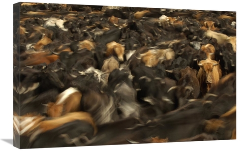 Global Gallery GCS-453133-2030-142 20 x 30 in. Cattle Herded by Chagra