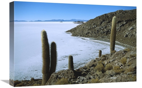 Global Gallery GCS-451631-1624-142 16 x 24 in. Salar De Uyuni Salt Pan