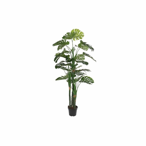 Decorative Plant DKD Home Decor Polypropylene (PP) EVA (90 x 90 x 200
