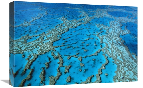 Global Gallery GCS-395905-1624-142 16 x 24 in. Aerial View of Coral Fo