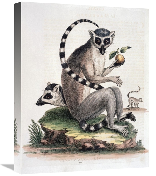 Global Gallery GCS-277465-22-142 22 in. Le Maucuaco Art Print - George