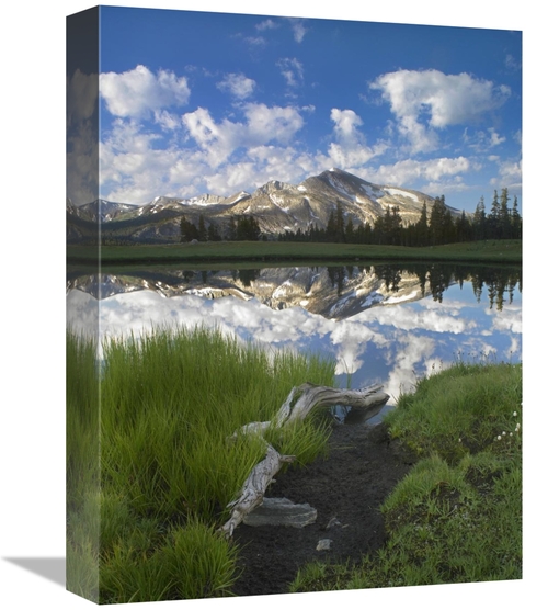 Global Gallery GCS-452124-1216-142 12 x 16 in. Mammoth Peak Reflected 