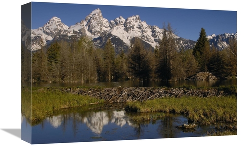 Global Gallery GCS-453099-1218-142 12 x 18 in. American Beaver Pond wi