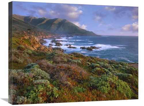 Global Gallery GCS-396844-2228-142 22 x 28 in. Cliffs & the Pacific Oc