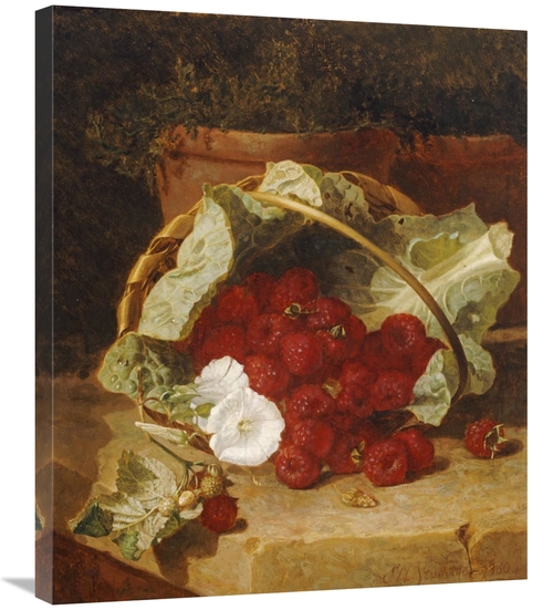 Global Gallery GCS-267336-30-142 30 in. Raspberries Art Print - Eloise