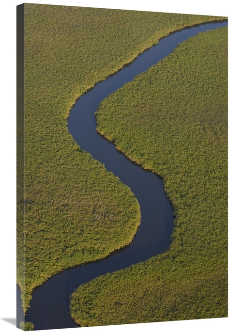 Global Gallery GCS-397906-2436-142 24 x 36 in. Papyrus Swamps & Channe