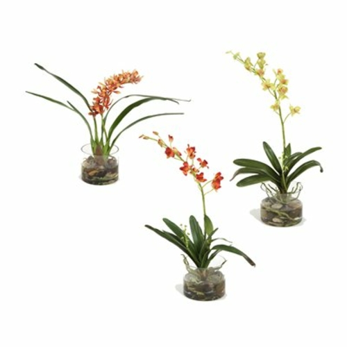 Distinctive Designs DDA-66C Assorted Silk Orchid Plants  Each in Glass