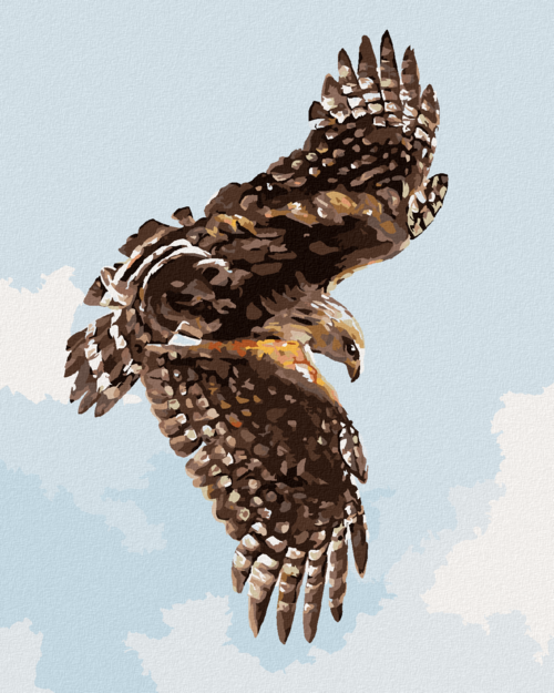 Zuty - Paint by Numbers - HAWK (D. RUSTY RUST), 40x50 cm