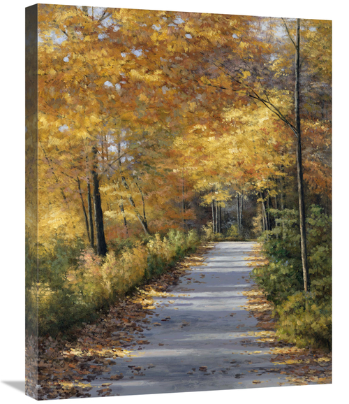 Global Gallery GCS-136844-2228-142 22 x 28 in. Late Fall Art Print - D