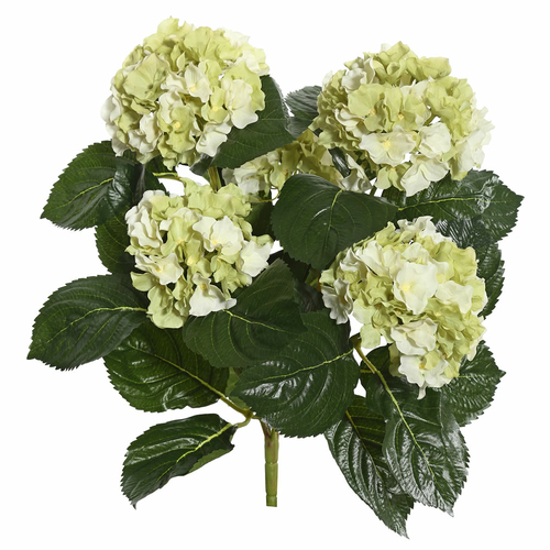 Vickerman FL171505 Light Green Hydrangea X5 Floral Bush - 17.5 in.