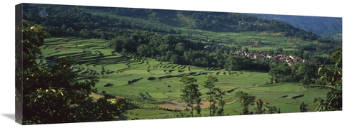 Global Gallery GCS-453061-40-142 40 in. Rice Terraced Fields, Chin