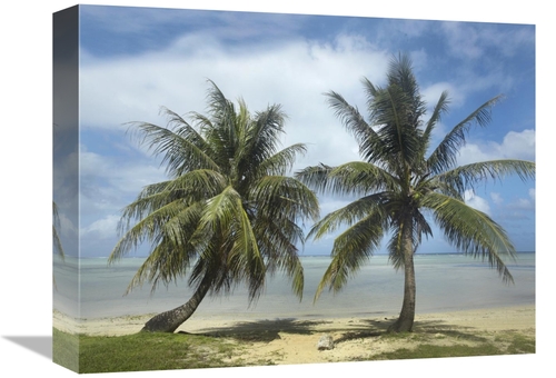 Global Gallery GCS-395980-1216-142 12 x 16 in. Palm Trees, Agana B