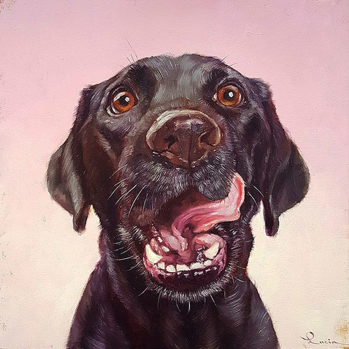 Artistic Home Gallery 1212K576G Follow Your Nose No.7 by Lucia Heffern