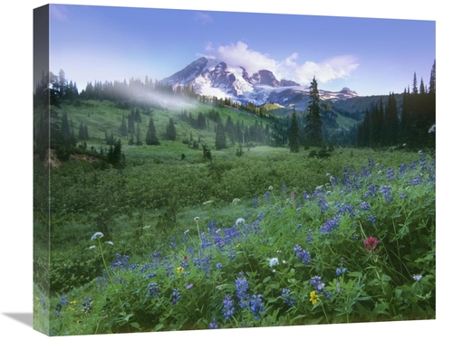 Global Gallery GCS-396792-22-142 22 in. Incoming Fog on Mount Rainier&