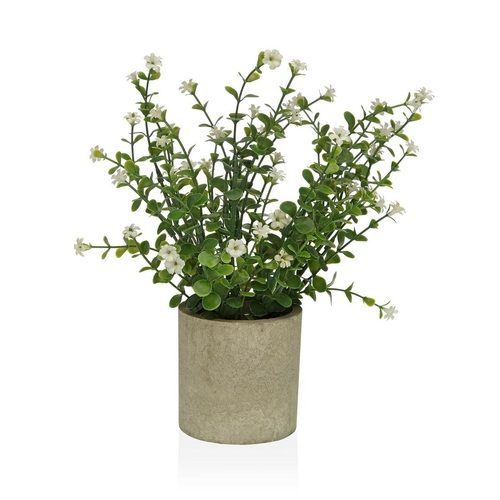 Decorative Plant Versa Plastic 8 x 25 x 8 cm