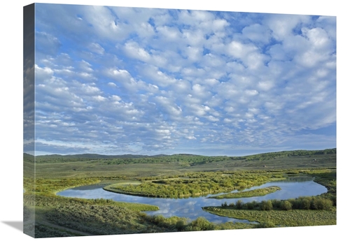 Global Gallery GCS-452196-1824-142 18 x 24 in. The Green River, Br