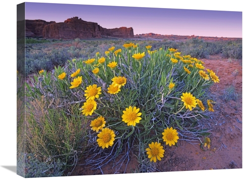 Global Gallery GCS-452218-1824-142 18 x 24 in. Sunflowers & Buttes&#44