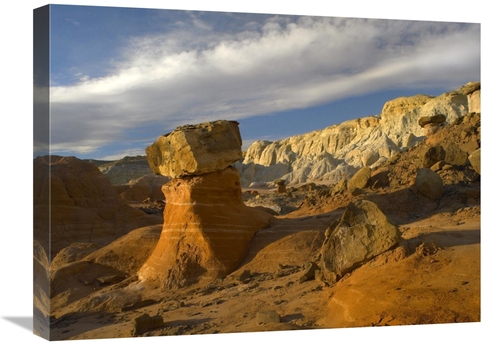 Global Gallery GCS-452132-1824-142 18 x 24 in. Toadstool Caprocks,