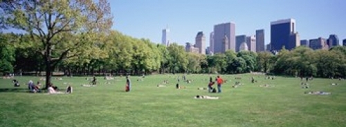 Panoramic Images PPI92802L Group Of People In A Park  Sheep Meadow  Ce