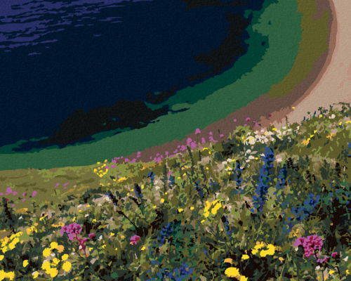 Zuty - Paint by Numbers - MEADOW FLOWERS OVER THE COAST (DENNIS