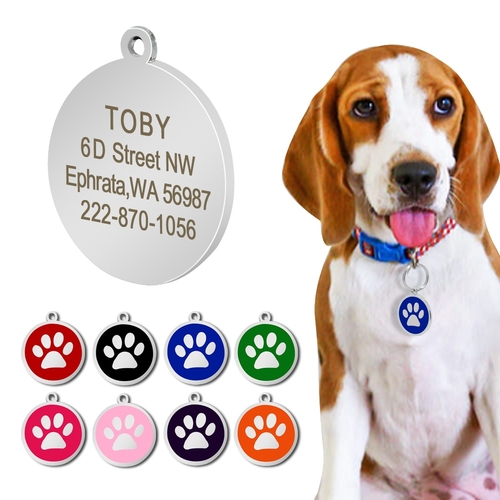 Stainless Steel Personalized Paw Dog ID Tag Dog