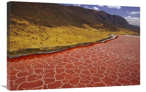 Global Gallery GCS-452857-2436-142 24 x 36 in. Soda Formations on the 