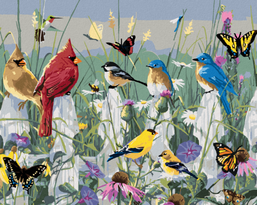 Zuty - Paint by Numbers - SONGBIRDS ON THE FENCE AND BUTTERFLIES