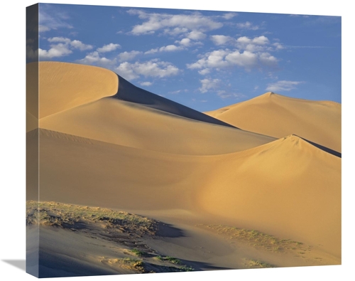 Global Gallery GCS-396464-22-142 22 in. Sand Dunes, Great Sand Dun